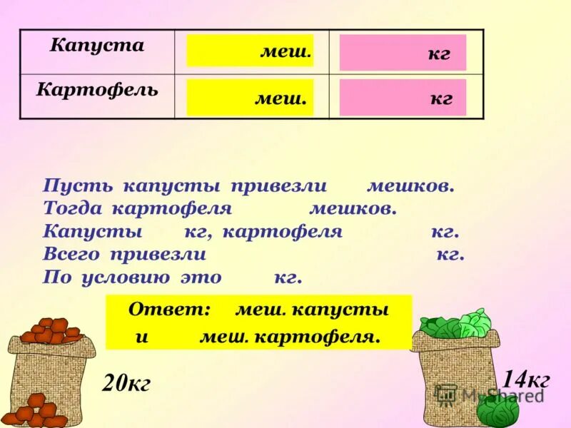 Масса мешка картошки. 6 Кг картошки. Мешок картофеля в кг. Задача про мешки с картошкой. Что вперед капусту или картошку