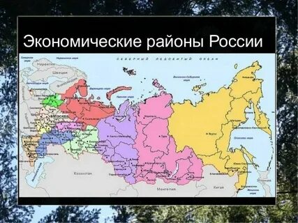Как вы думаете почему границы экономических районов