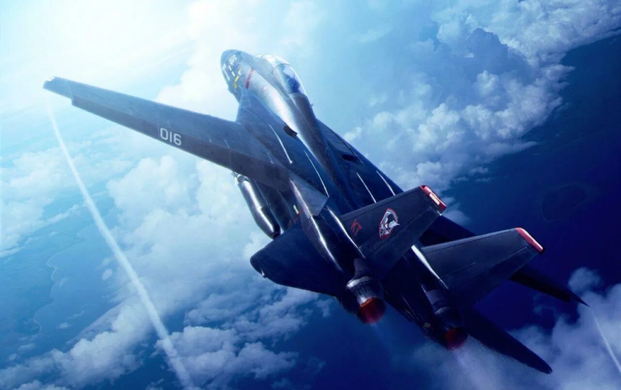 Ace combat. F 14 истребитель. f-14 tomcat ace combat. ace combat 1995. f-14 razgriz.