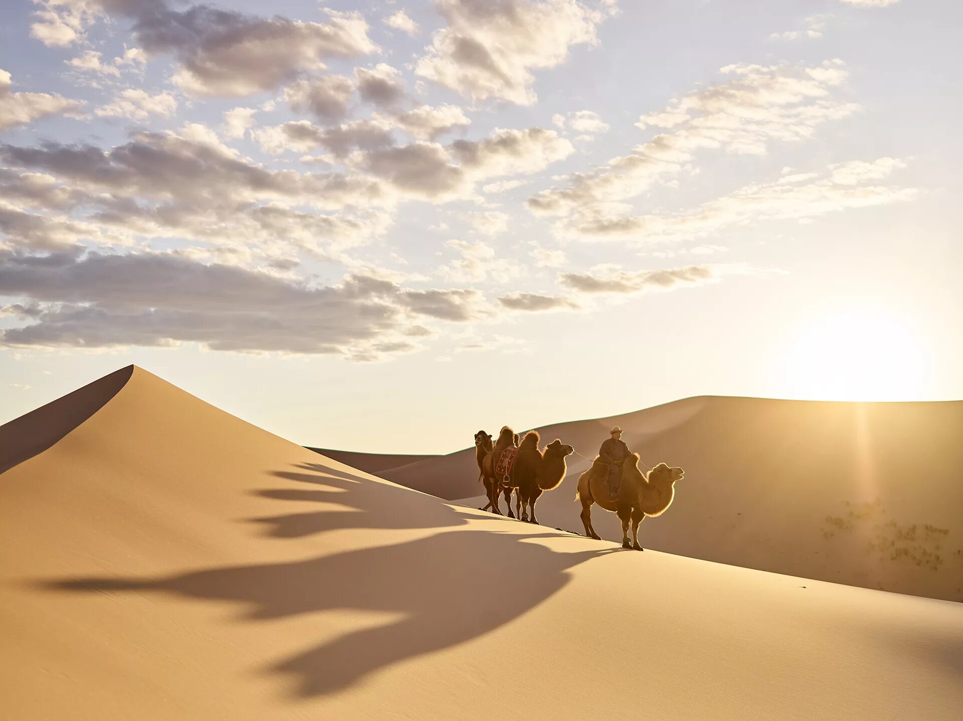 Гоби это пустыня. Пустыня Гоби. Пустыня Гоби климат. Монголия Гоби. Пустыни Монголии.