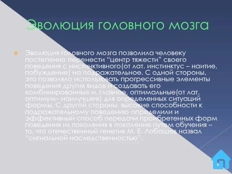 Городская проза. Тематика городской прозы. Особенности городской прозы. Городская проза представители.