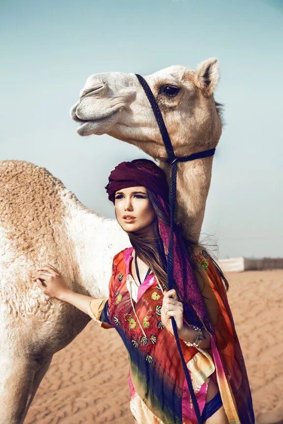 Мадиха камель. Во сколько верблюдов оценивается девушка. Верблюды в аравии. Женщина на верблюде. Верблюд и красавица.