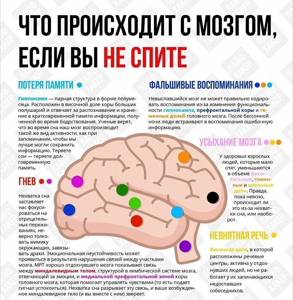 Информация воздействует на мозг. Мозг и информация. Что будет с организмом если не спать