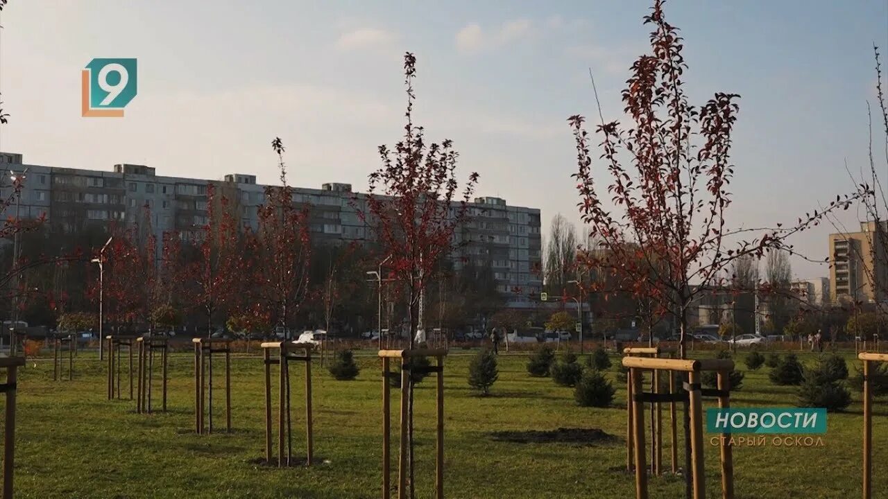Зеленый старый оскол сайт. Парк зеленый лог старый оскол. парк зеленый лог старый оскол проект. парк зеленый лог в старом осколе в городе. парка «зеленый лог» в старом осколе.