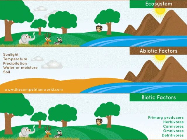 Abiotic factor миры. Abiotic factor. biotic and abiotic factors. abiotic factor растенья. abiotic factor игра.