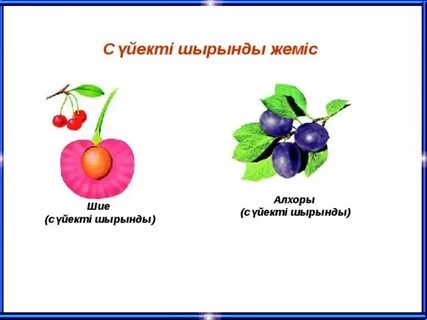 Әйел киіміндегі еркектер сорып алады