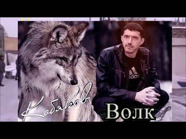Волк вегетарианец. Сидоренко волк погибшей империи. Песня про волка сидоренко. Слава волк самара. Песню про волка на видео.