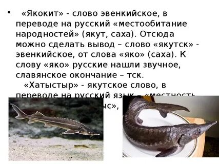 Перевод с якутского слова