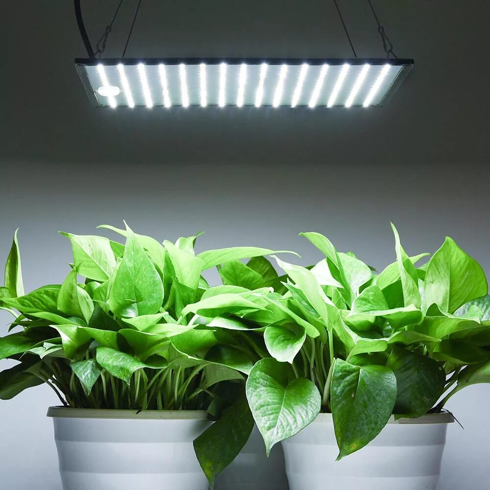 Led plant lights. Фитолампа led grow Light. УФО лампа для растений. Фитолампа белый свет. Фитолампы в интерьере.