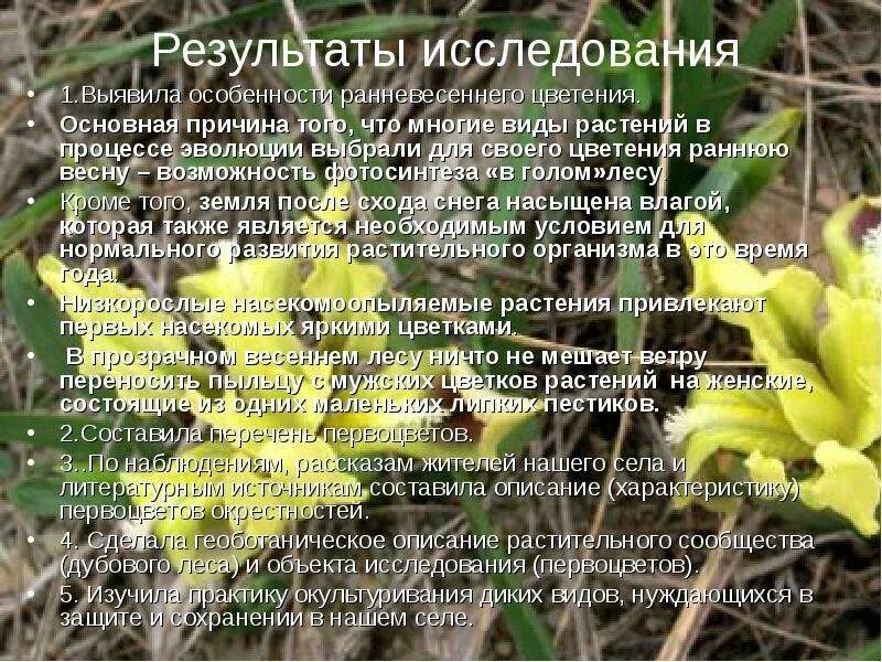 Функции цветения. Процесс цветения цветка. причины цветения весной растения. исследование процесса цветения травянистых растений. причины раннего цветения травянистых растений.