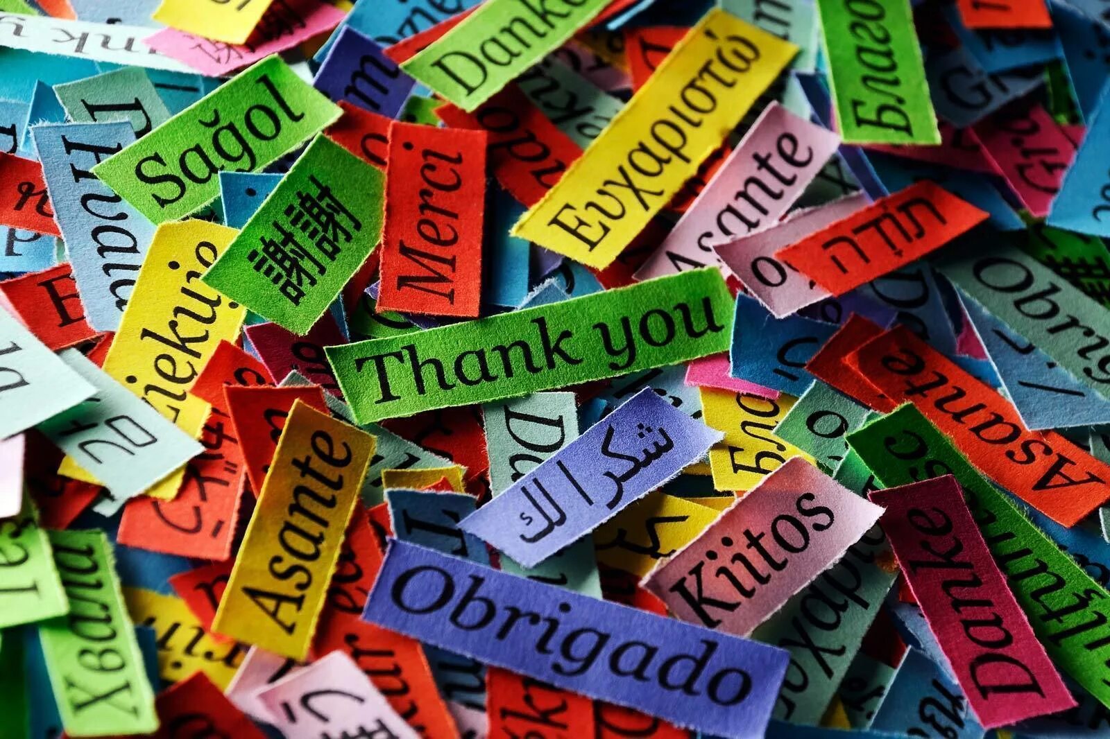 Language