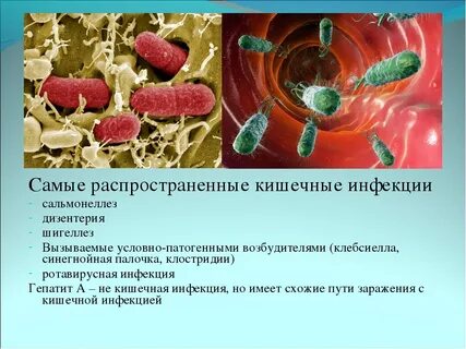 Инфекция сентябрь 2024