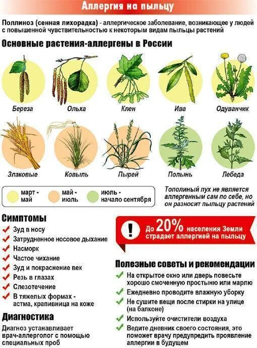 Как избавиться от цветения