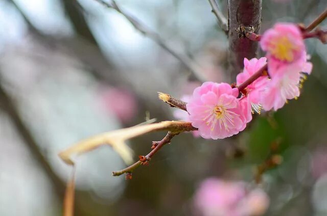 Де но т весеннего равноденствия. День веченнего равноденстви. День весеннего равноденствия. День весеннего равноденствия видео. День весеннего равноденствия рисунок.