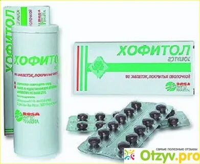Хофитол гепатоз
