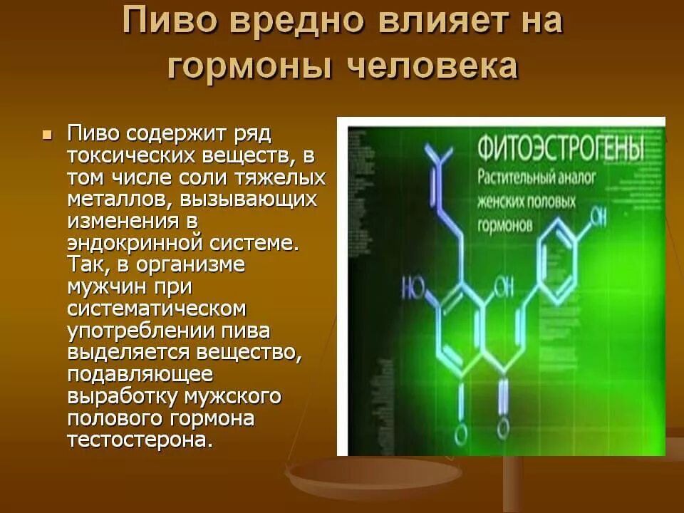 Мужчины пьющие женские гормоны. Чем вредно пиво для мужчины. Как пиво влияет на человека.