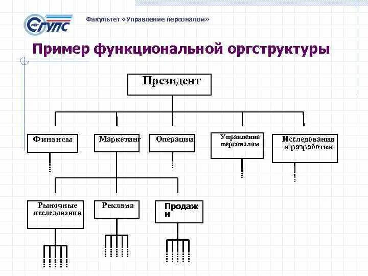 Менеджмент пример проекта. Оргструктура команды проекта. пример структуры управления персоналом. пример функциональной связи. кафедра управления персоналом.