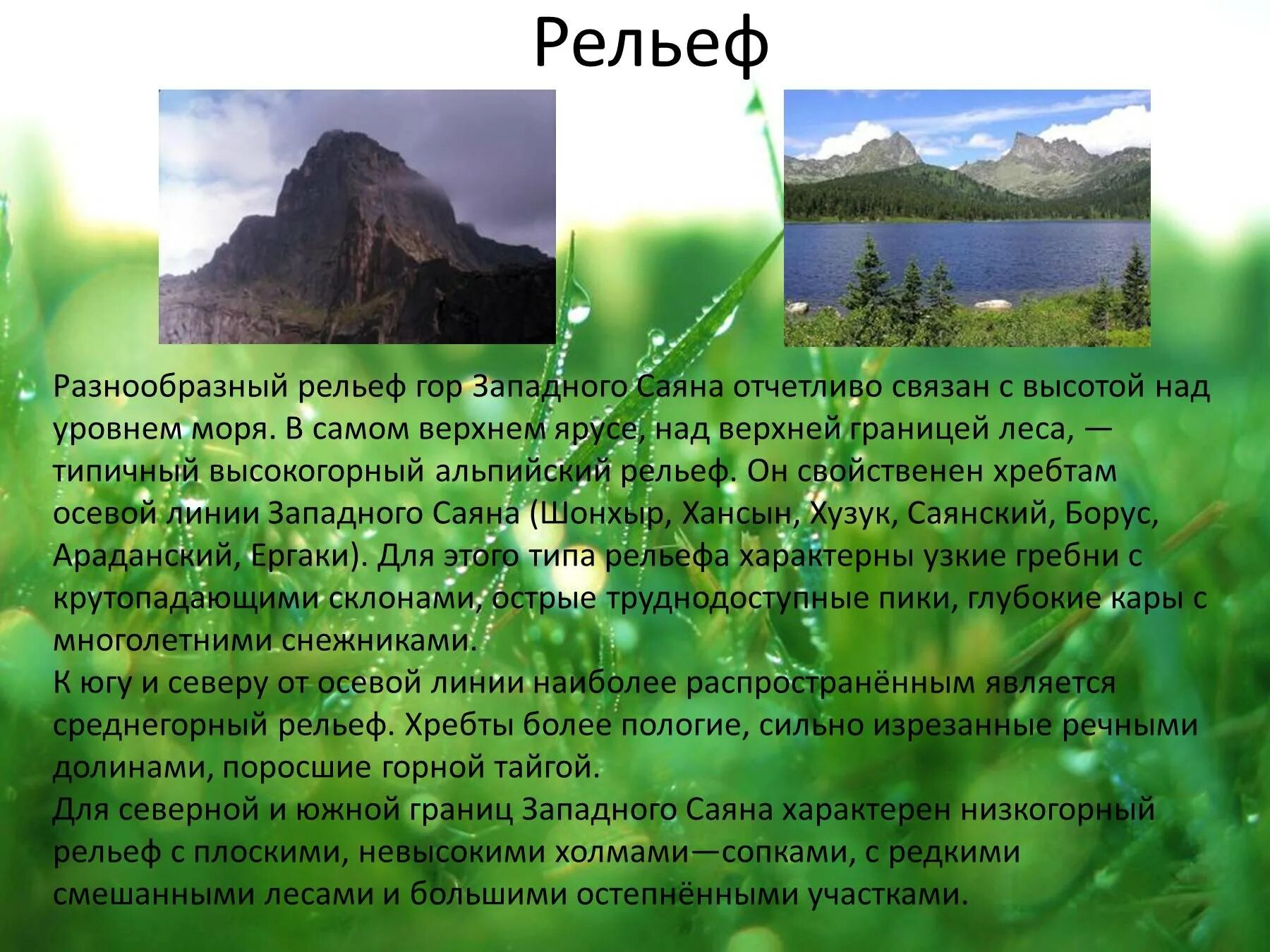 Восточный саян высота над уровнем моря. Рассказ про горы Саяны. Горы Саяны сообщение 4 класс окружающий мир. Саяны презентация. Горы Саяны доклад.