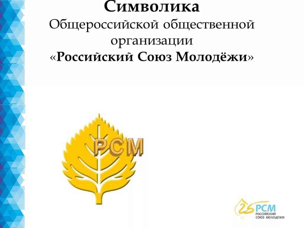 Всероссийский союз общественных организаций. Российский Союз молодежи. Всероссийский Союз молодежи. Общественная организация Союз молодежи.