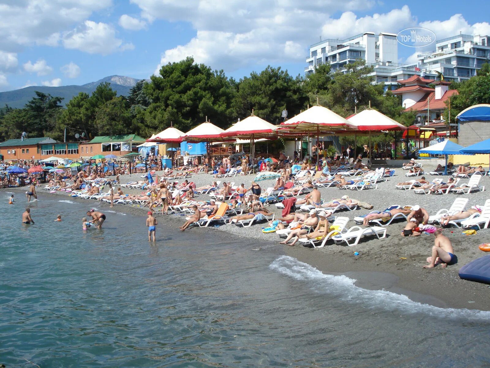 Алушта пляж. Пляж пансионата жемчужина алушта. Алушта общественный пляж. Алушта пляжи отзывы. Пляж санатория голубая волна, алушта.
