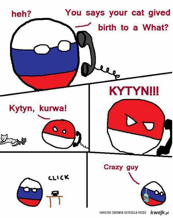 Что значит я пердоле с польского. Польша kurwa. Поландболл kurwa. Polska kurwa Мем. Countryballs Польша kurwa.