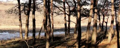 Горная поляна волгоградская область