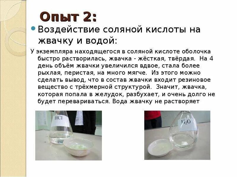 Опыты с соляной кислотой. Опыты с кислотами. Опыты с жвачкой для исследования. Эксперименты с соляной кислотой.