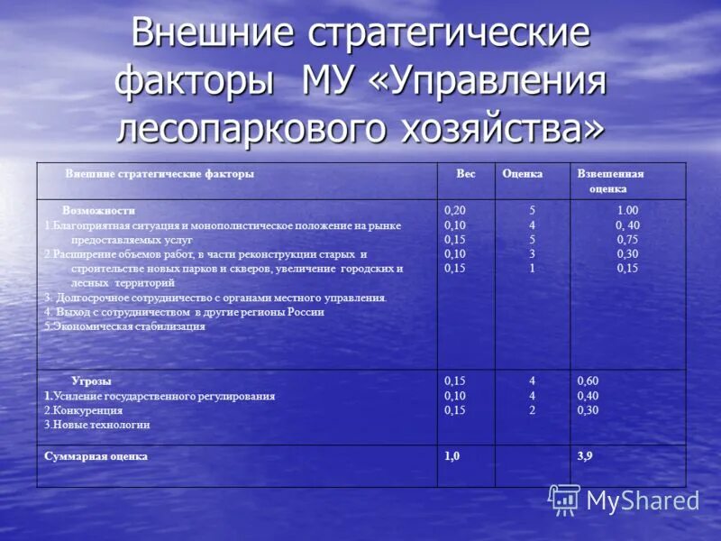 анализ внешних стратегических факторов
