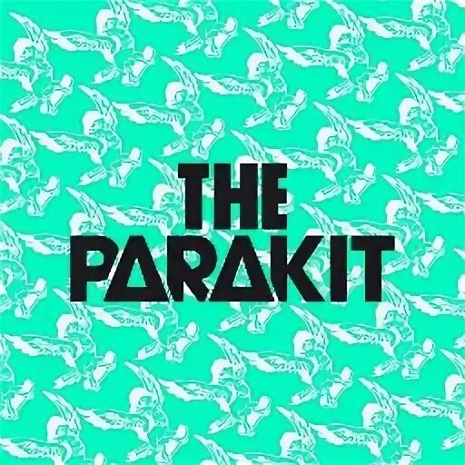 The parakit save me