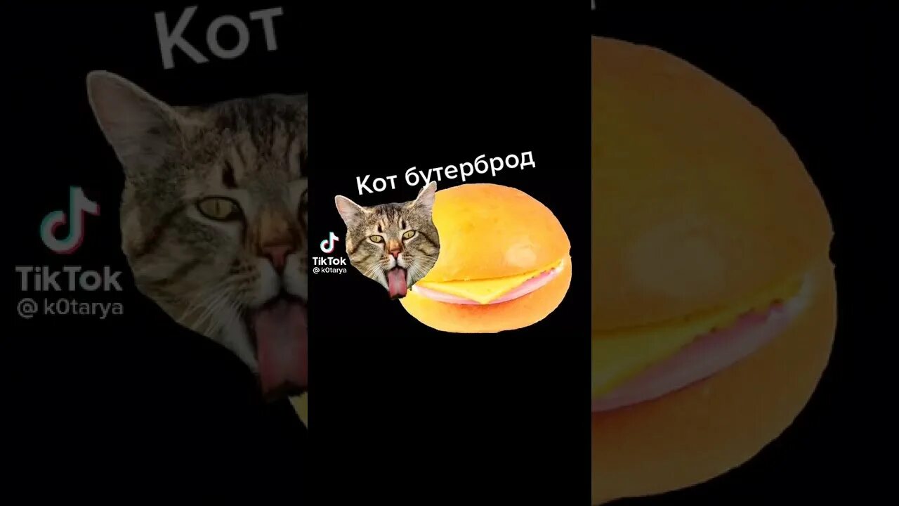 Мышка сосиска крыска ириска кот. Мышка сосиска крыска ириска кот бутерброд авокадо бегемот. кот бутерброд мем. кот ириска.