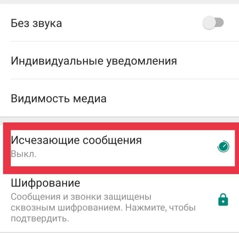 Сообщение удаляется после прочтения ватсап. Ватсап исчезающие сообщения новая функция. ватсап функции исчезающие сообщения. индивидуальные уведомления в ватсапе. что такое исчезающие сообщения в ватсапе.
