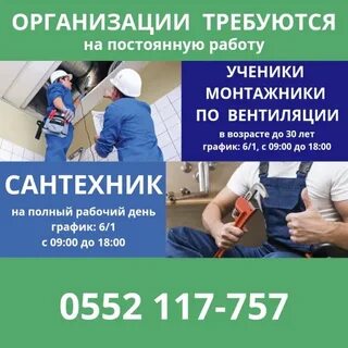 Требуется ученик работа