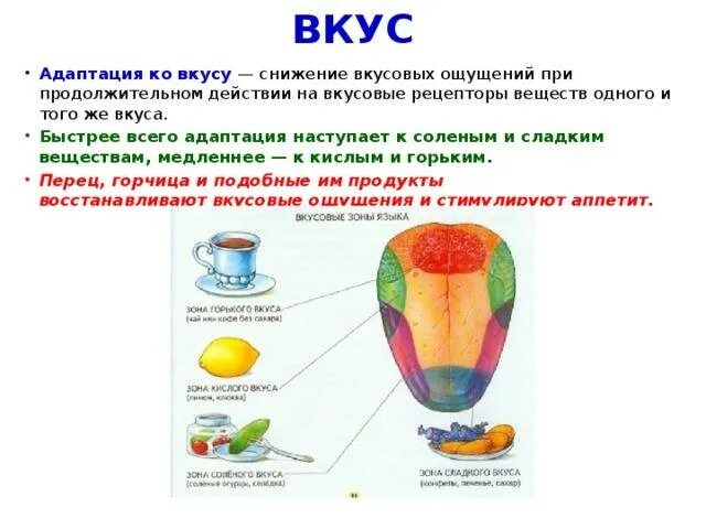 Как правильно говорить чувствую запах. Богатство вкусовых ощущений. вкус и вкусовые ощущения. вкусовая адаптация. запахи и вкусовые ощущения.