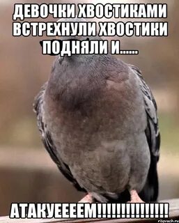 Узбиген курлык мурлык