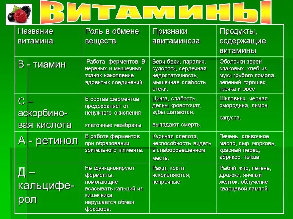 Функции витамина а биология 8 класс. Роль витаминов в обмене веществ кратко 8 класс. Витамины их роль в обмене веществ схема. Роль витаминов в обменных процессах. Признаки авитаминоза характерны для