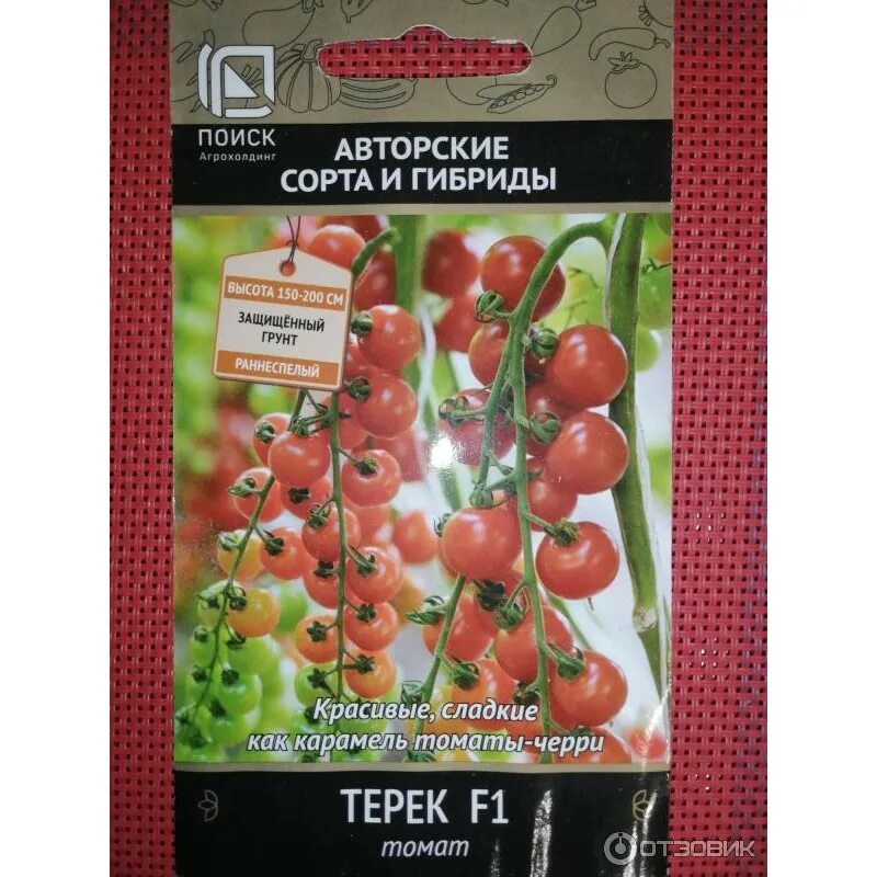 Томаты терек описание сорта. Томат черри терек. томат-черри блосэм&quot; f1. томат терек ф1. томаты черри терек f1.