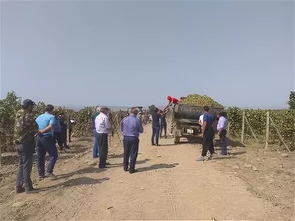 Погода падаре на 10 дней дербентский