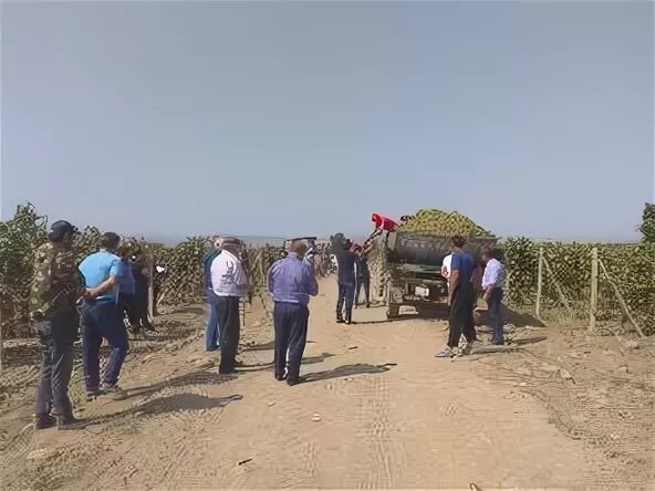 Погода село падар дербентский. Татляр Дагестан. Село Татляр Дербентский район. Татляр Карадаглы. Татляр Дагестан село.