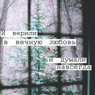 Прочитанному верить