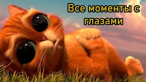 Кот со шрека