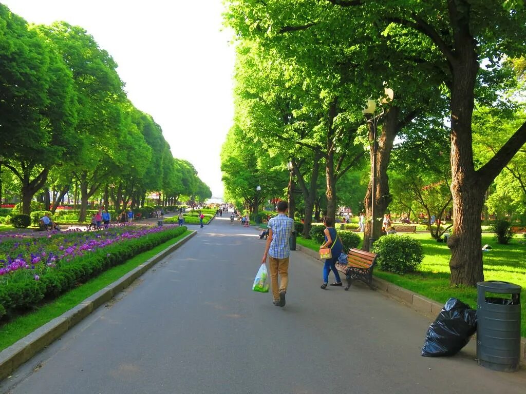 Лучшие парки москвы для прогулок. Парк культуры Горького. Горьковский парк Москва. Московский парк Горького. Центральный парк имени Горького.