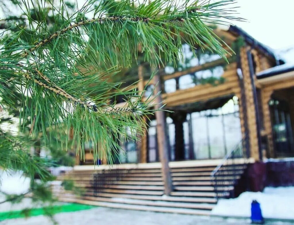 Термы александрия, деревня печёнкино. Термы александрия деревня печенкино. Термы александрия челябинск. Термы александрия деревня печенкино. Термальные источники челябинск александрия.