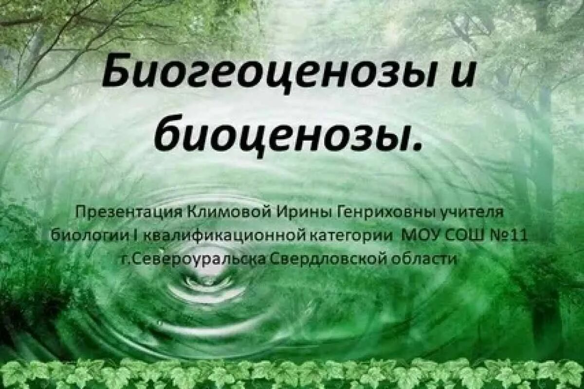 06.03 01 биология. Биоценоз и экосистема. Биоценоз биогеоценоз экосистема. Биоценоз это в биологии. Биоценоз презентация.