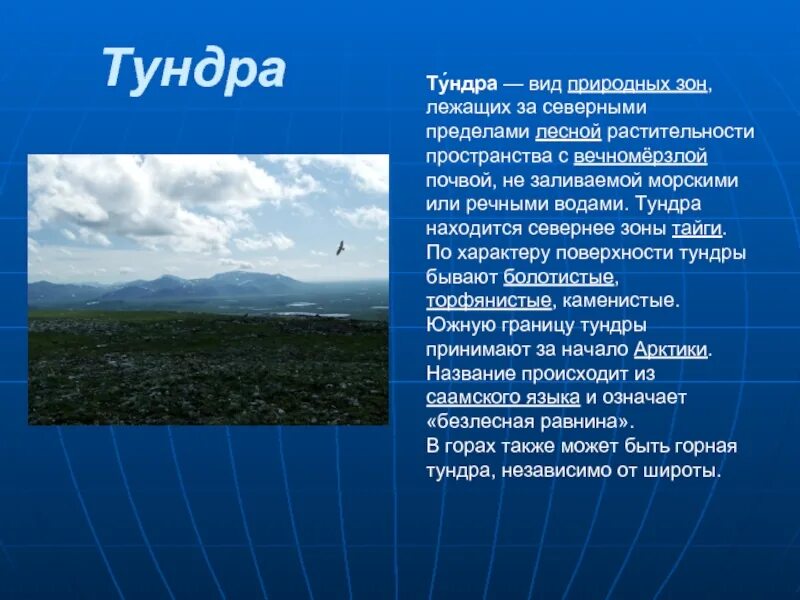 Тундра отличается. Презентация на тему тундра. информация о тундре. сообщение о тундре. доклад о тундре.