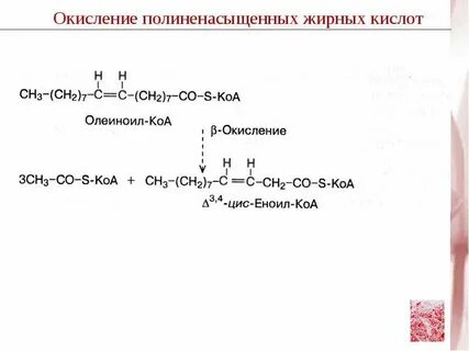 Окисление 1 грамма жира