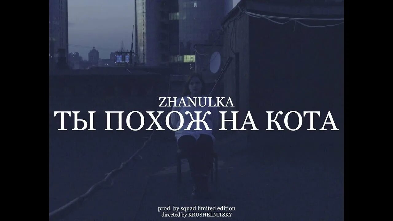 Zhanulka ты похож на кота. Zhanulka ты похож на кота суд. Ты похож на кота 2019 Remastered zhanulka. Испанский стыд zhanulka.