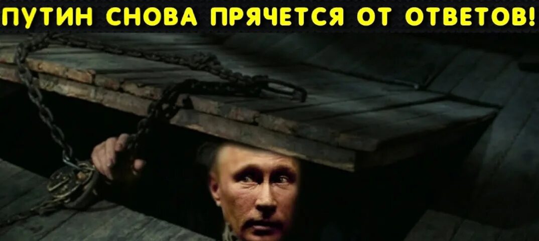 Дыры продажной твари