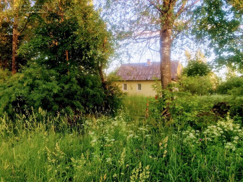 Дивенский. Поселок дивенский гатчинский район ленинградская область. Дивенская гатчинский район. Дивенская снт дружба. Дивенский гатчинский.