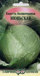 Как получить семена капусты белокочанной