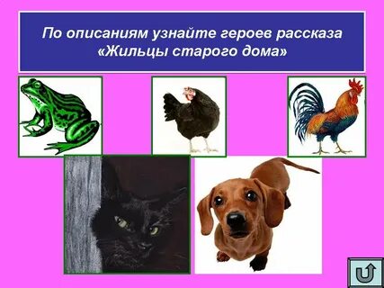 Жильцы старого дома